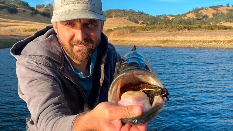 Berkley Powerbait Jigs Review