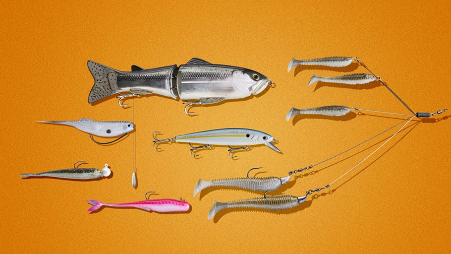 Best Baits for Forward Facing Sonar