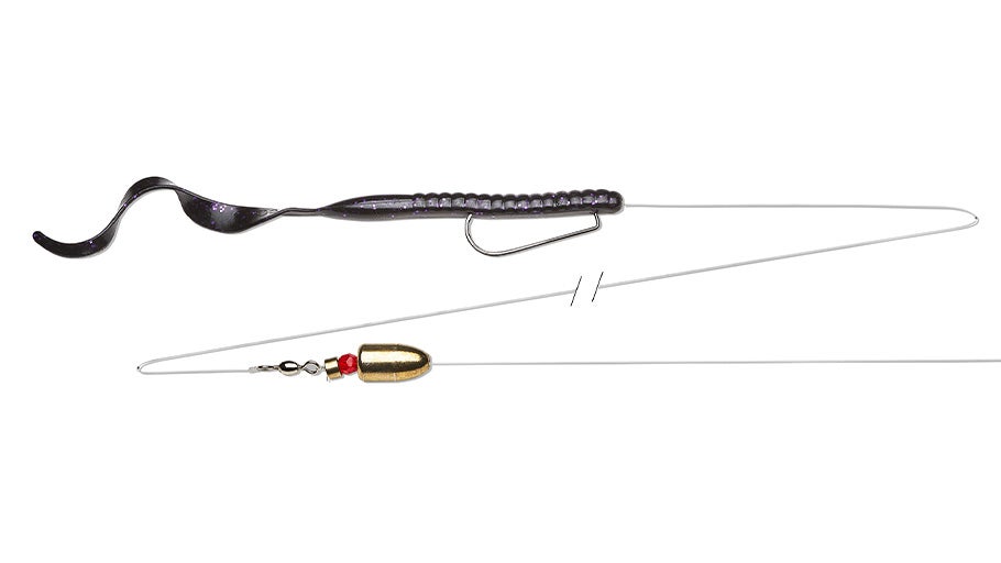 Carolina Rig Gear Guide