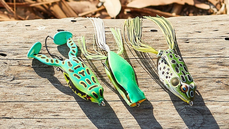 Hollow Body Frog Gear Guide