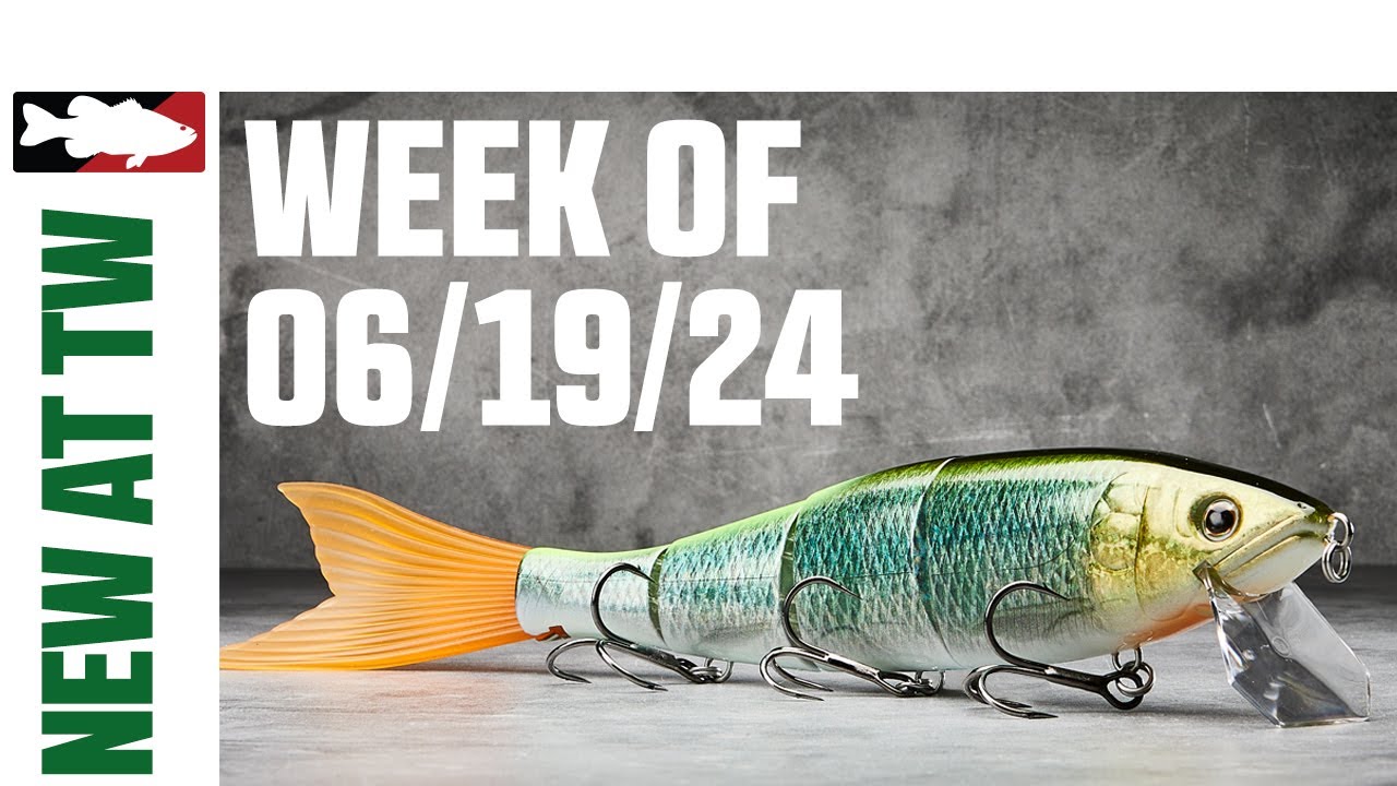 What's New at Tackle Warehouse 6/19/24