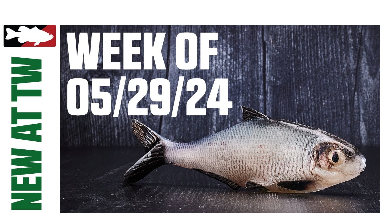 What's New at Tackle Warehouse 5/29/24