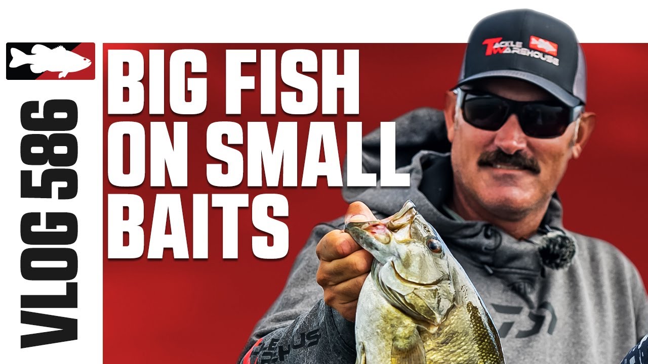 Catching Big Smallmouth on Small Baits - VLOG #586