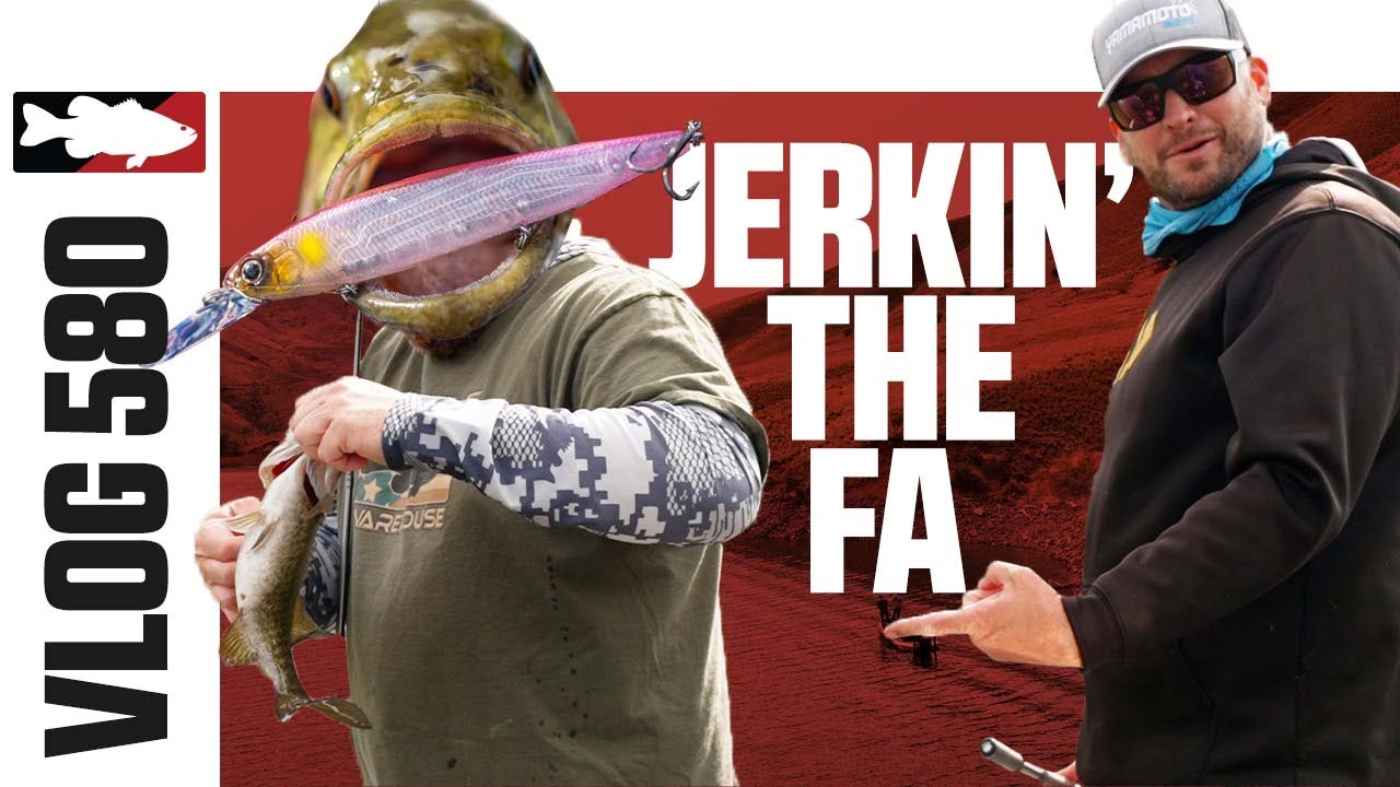 Insane Smallmouth Action on the Evergreen FA Jerkbait