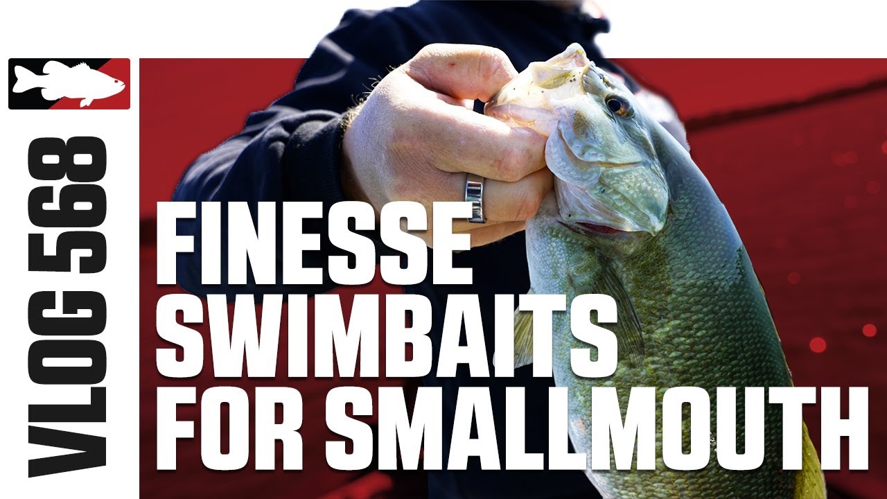 Fishing the Z-Man Minnowz Swimbait with Luke Clausen
