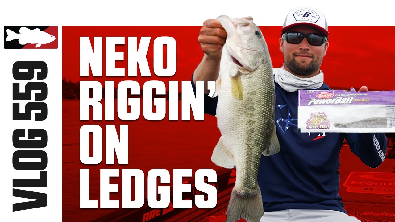 Neko Rigging Maxscent Hit Worms with Lucas