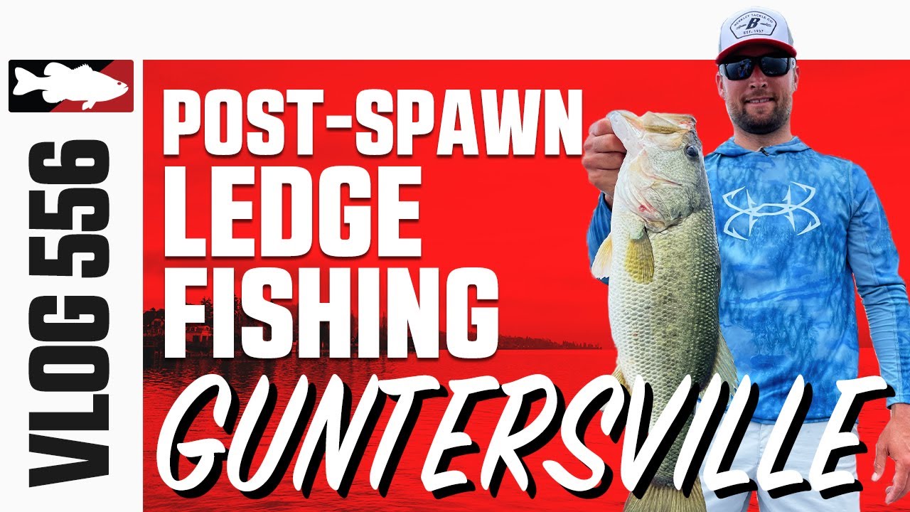Post Spawn Ledge Fishing Lake Guntersville with Lucas