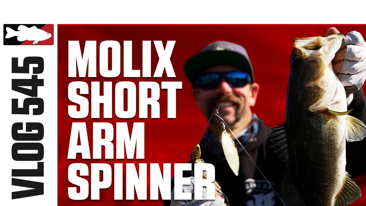 Ike Fishing the Molix Short Arm Spinnerbait in Florida