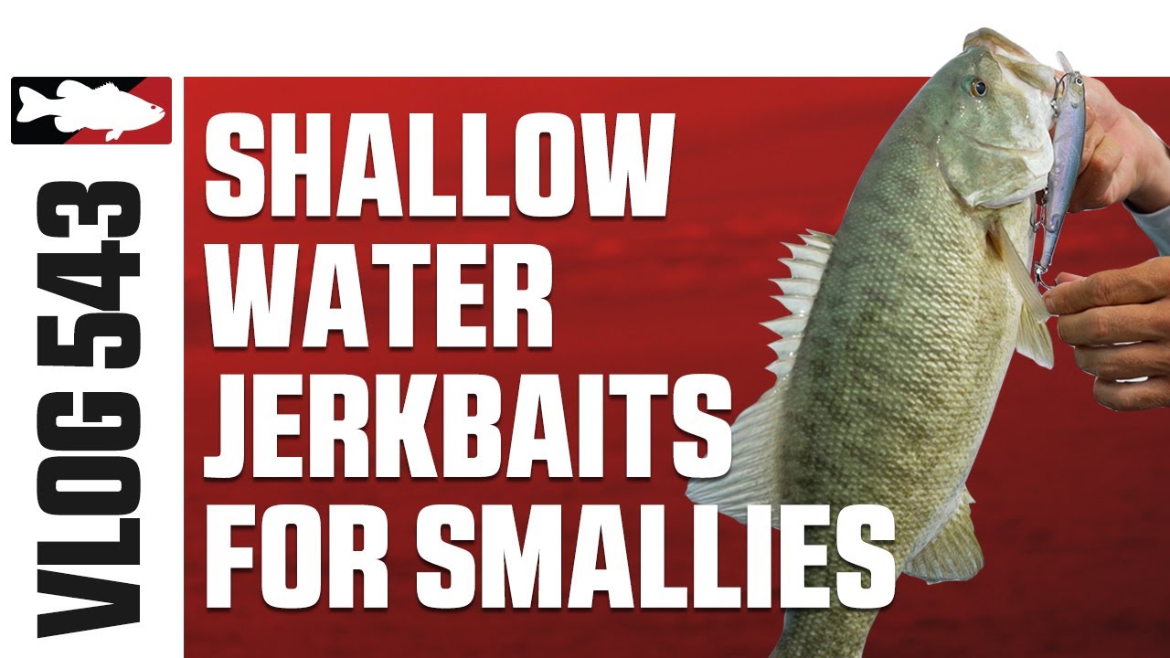 Shallow Water Jerkbaits on St. Clair w/Ehrler