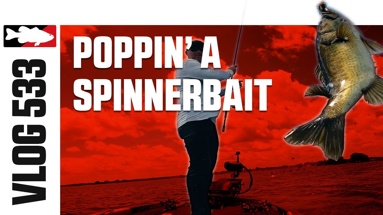 Popping a Spinnerbait at Headwaters with Clausen