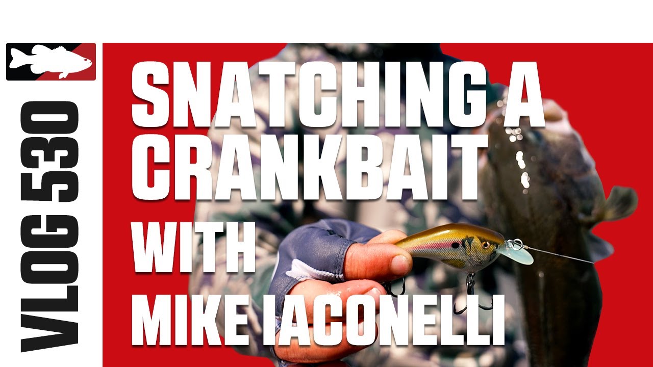 Ike Snatching a Crankbait at Spruce Run Reservoir Pt 1