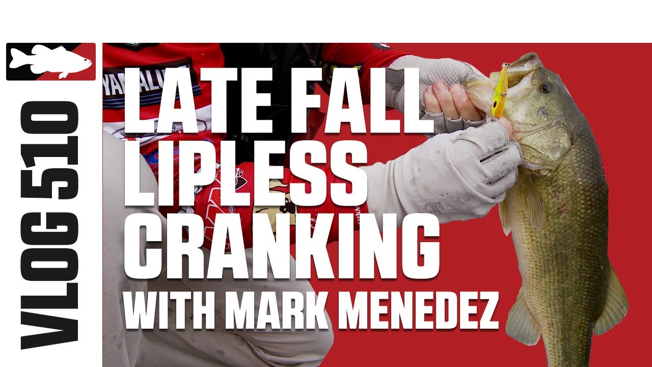 Mark Menendez Fishing Red Eye Shad on Cumberland River