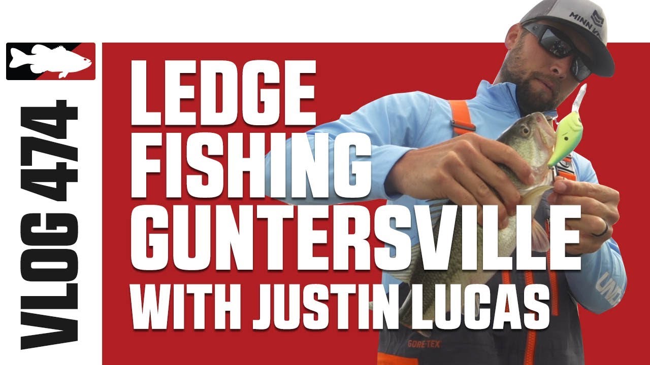 Justin Lucas Ledge Fishing on Guntersville Pt. 4