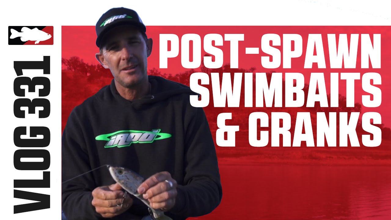 Triple Trout and 6XD on Santa Margarita w. Matt Newman