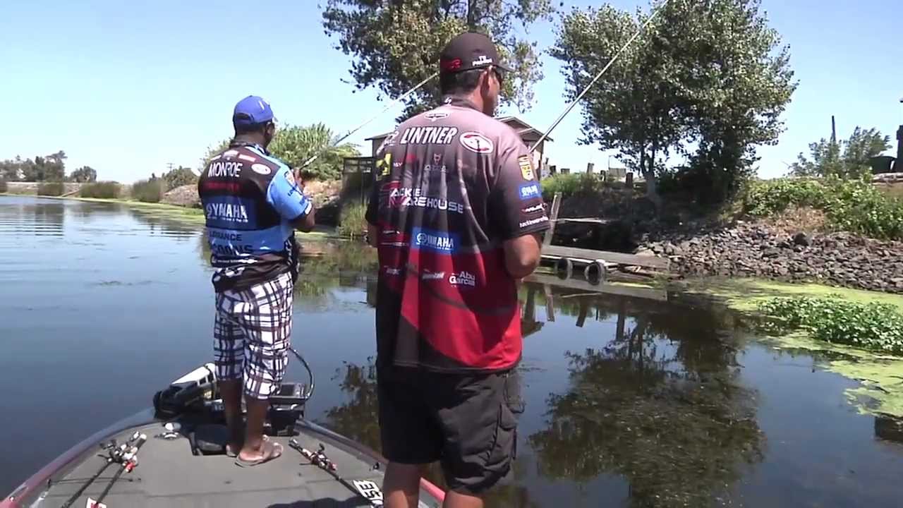 Punchin' at the Cal Delta w/Jared Lintner & Ish Monroe