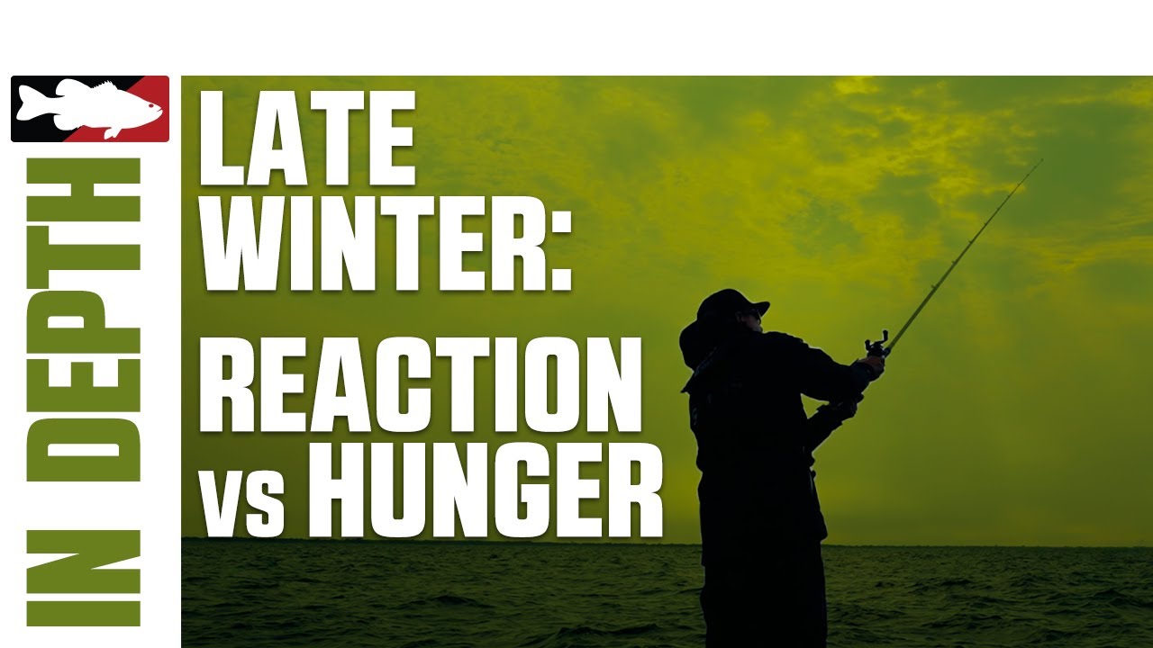 Late Winter Bass Fishing In-Depth with Brent Ehrler