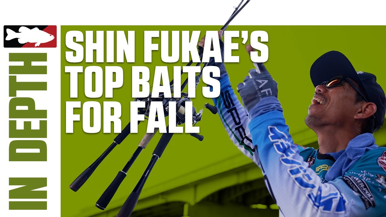 Shin Fukae's Top Baits for Fall Fishing