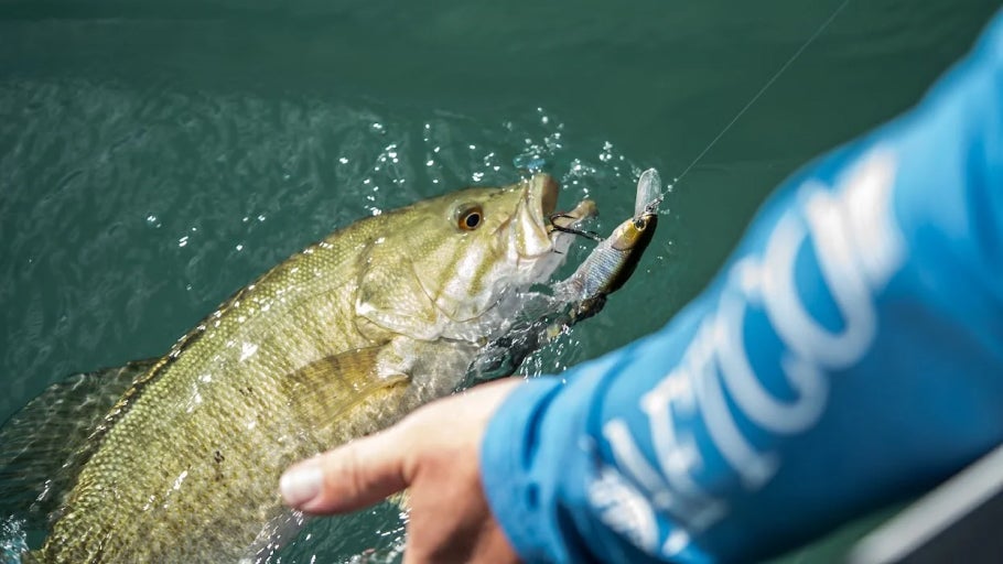 Jerkbait Gear Guide