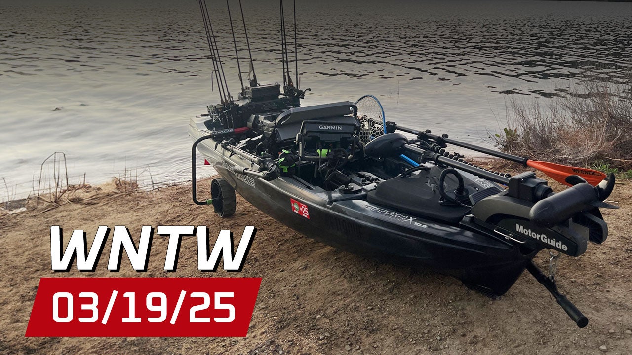 What's New at Tackle Warehouse 3/19/25