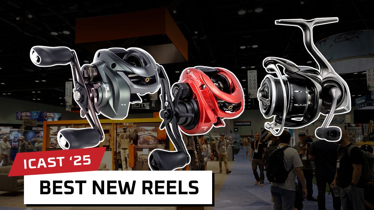 Best New Reels