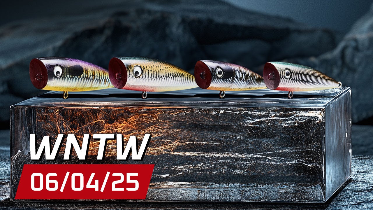 What's New at Tackle Warehouse 6/4/25