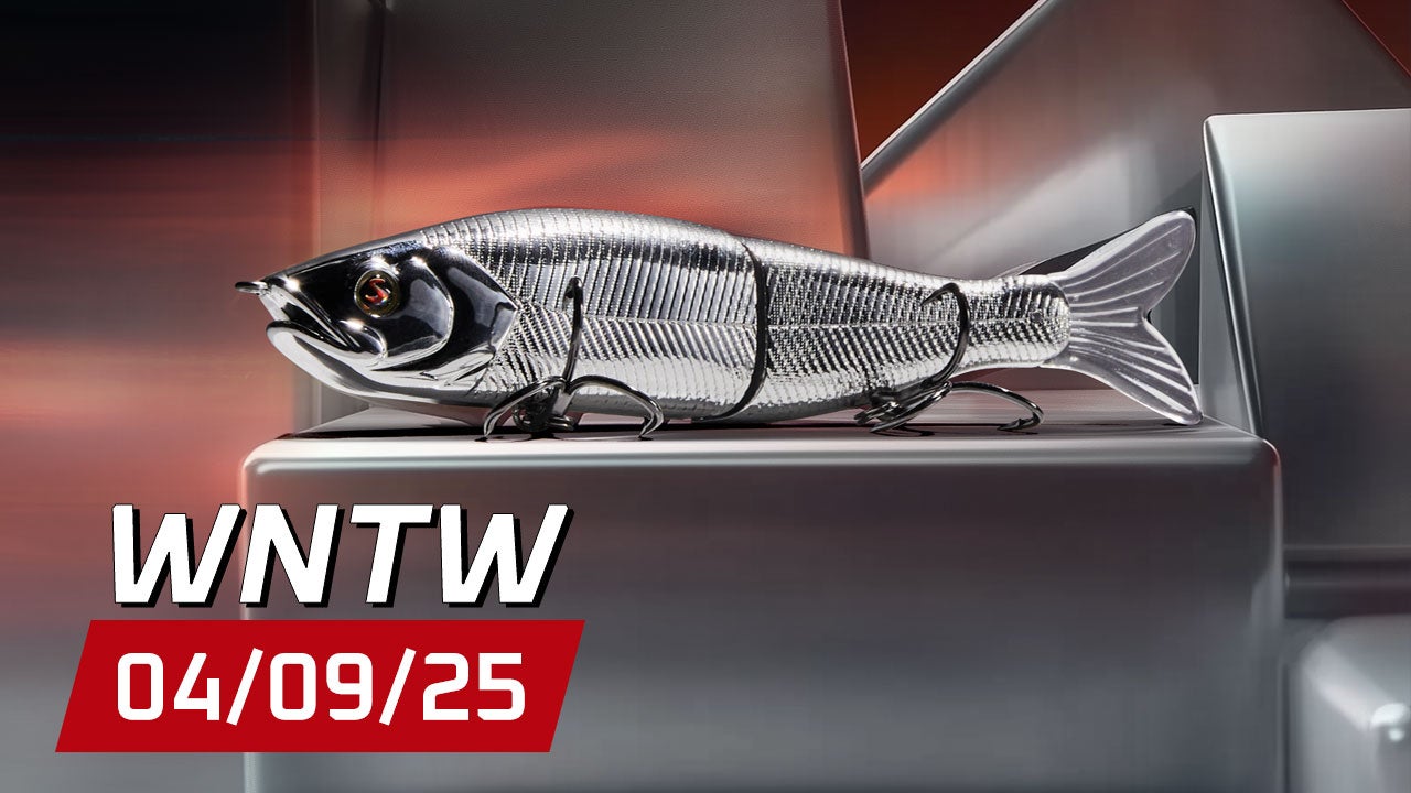 What's New at Tackle Warehouse 4/9/25