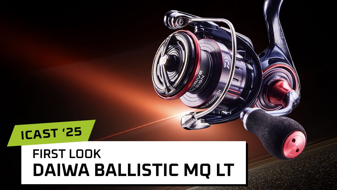 Daiwa Ballistic MQ LT Spinning Reel