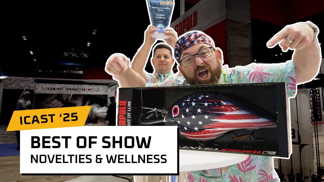 Rapala Giant DT Crankbait - Best Novelties