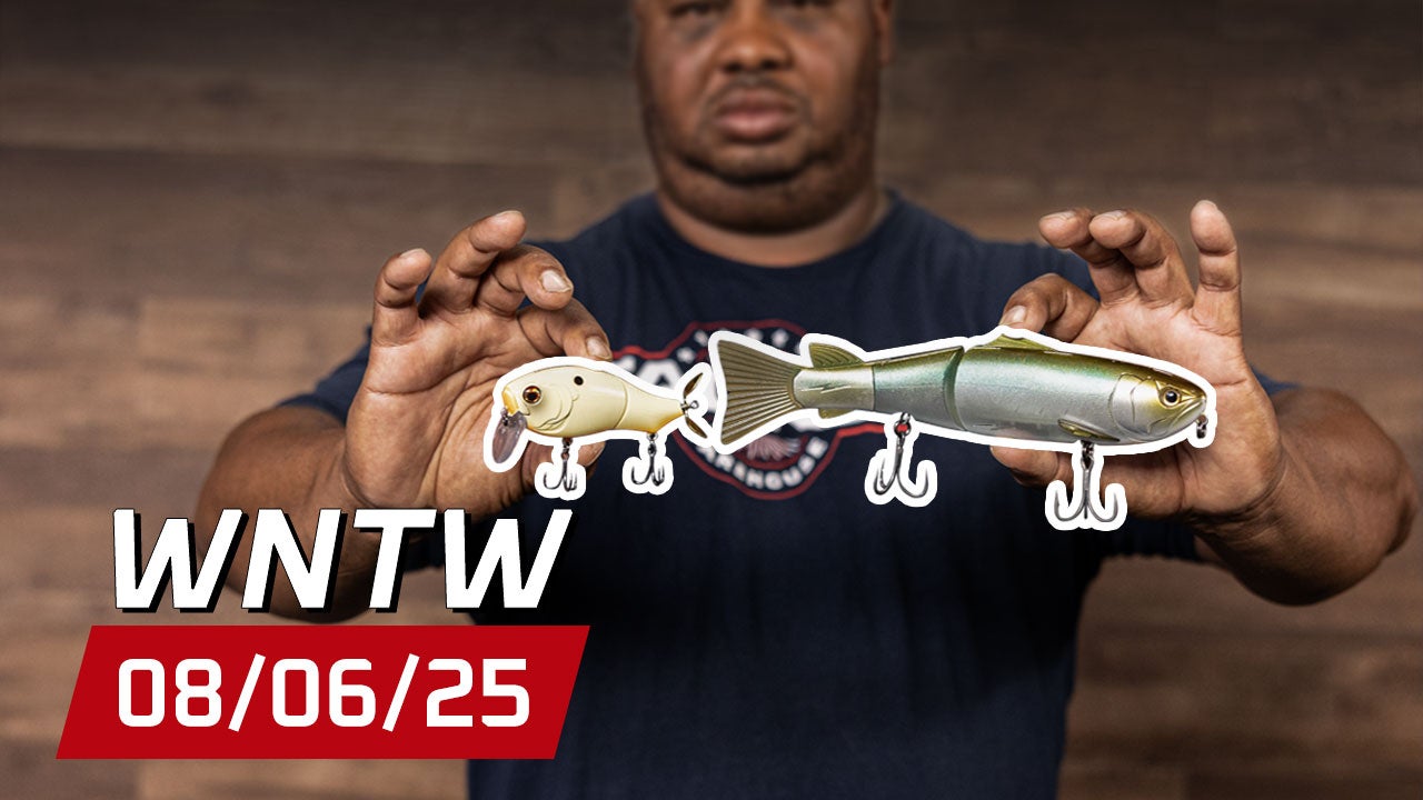 What's New at Tackle Warehouse 8/6/25