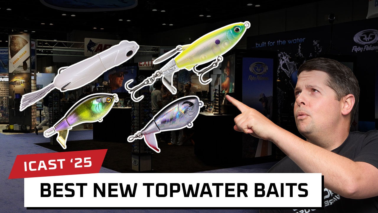 Best New Topwater