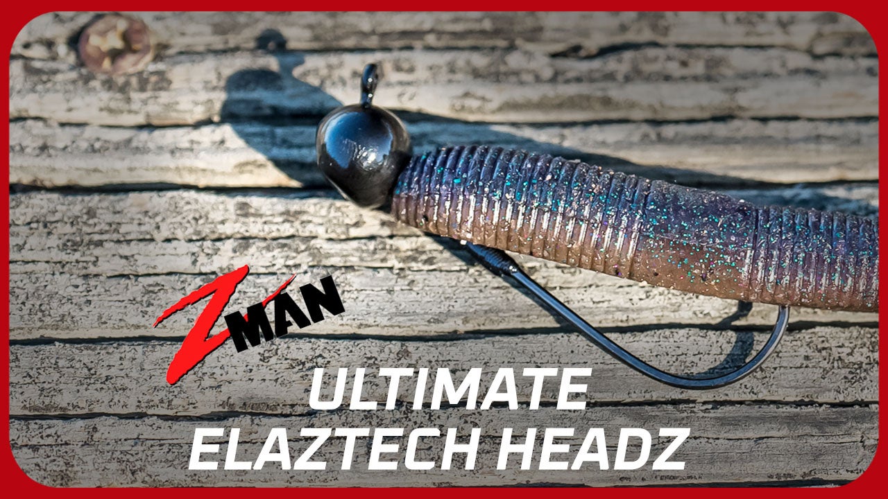 Z-Man Ultimate Elaztech Head