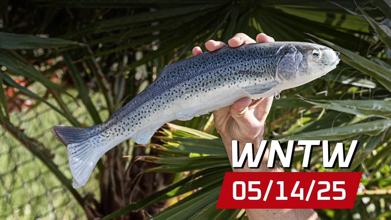 What's New at Tackle Warehouse 5/14/25