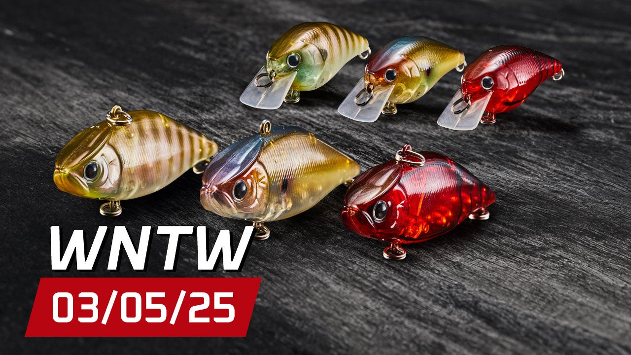 What's New at Tackle Warehouse 3/5/25