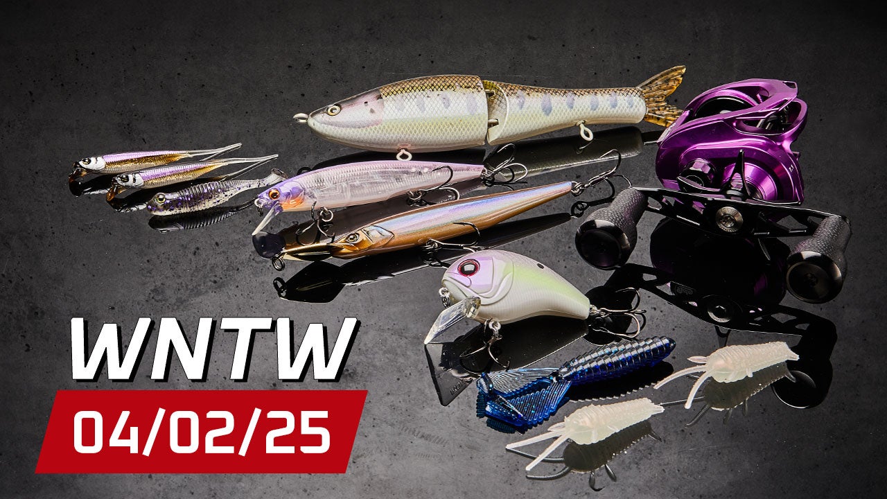 What's New at Tackle Warehouse 4/2/25