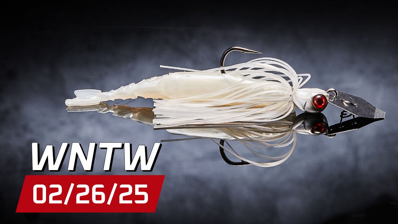 What's New at Tackle Warehouse 2/26/25