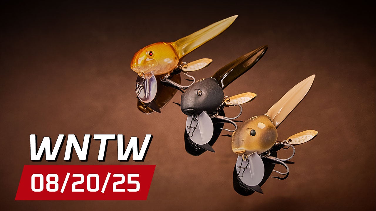 What's New at Tackle Warehouse 8/20/25