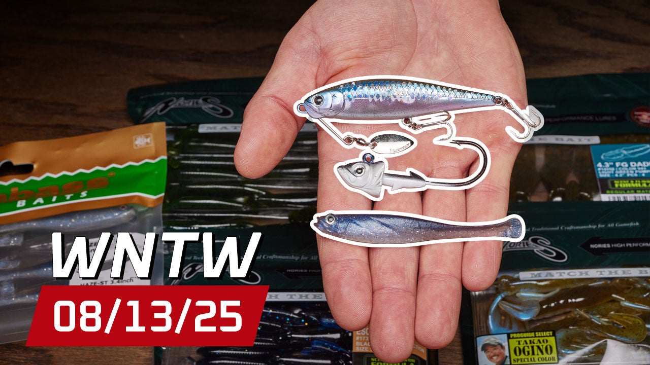 What's New at Tackle Warehouse 8/13/25