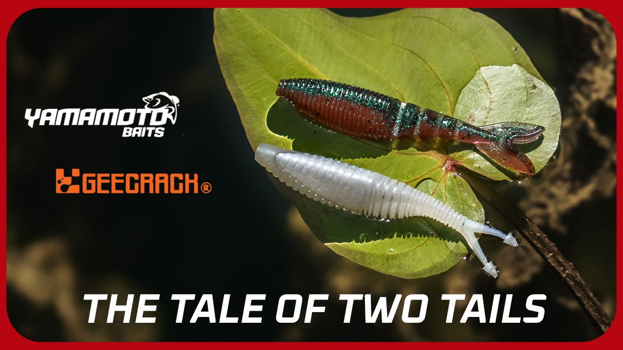 The Tale of Two Tails - Zako & Vibe Comparison