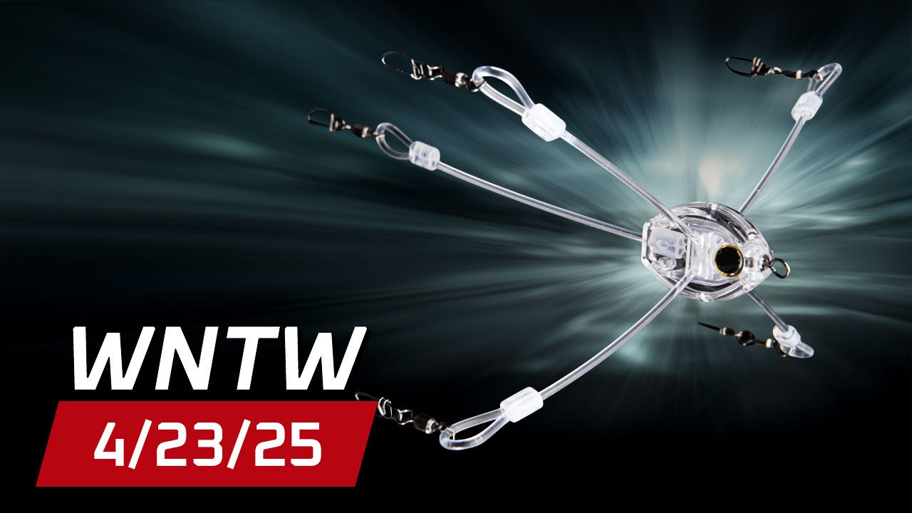 What's New at Tackle Warehouse 4/23/25