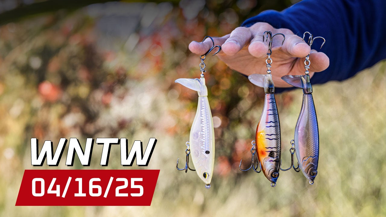 What's New at Tackle Warehouse 4/16/25