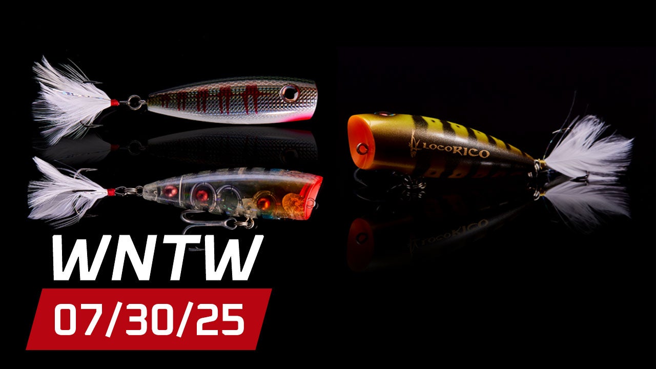 What's New at Tackle Warehouse 7/30/25