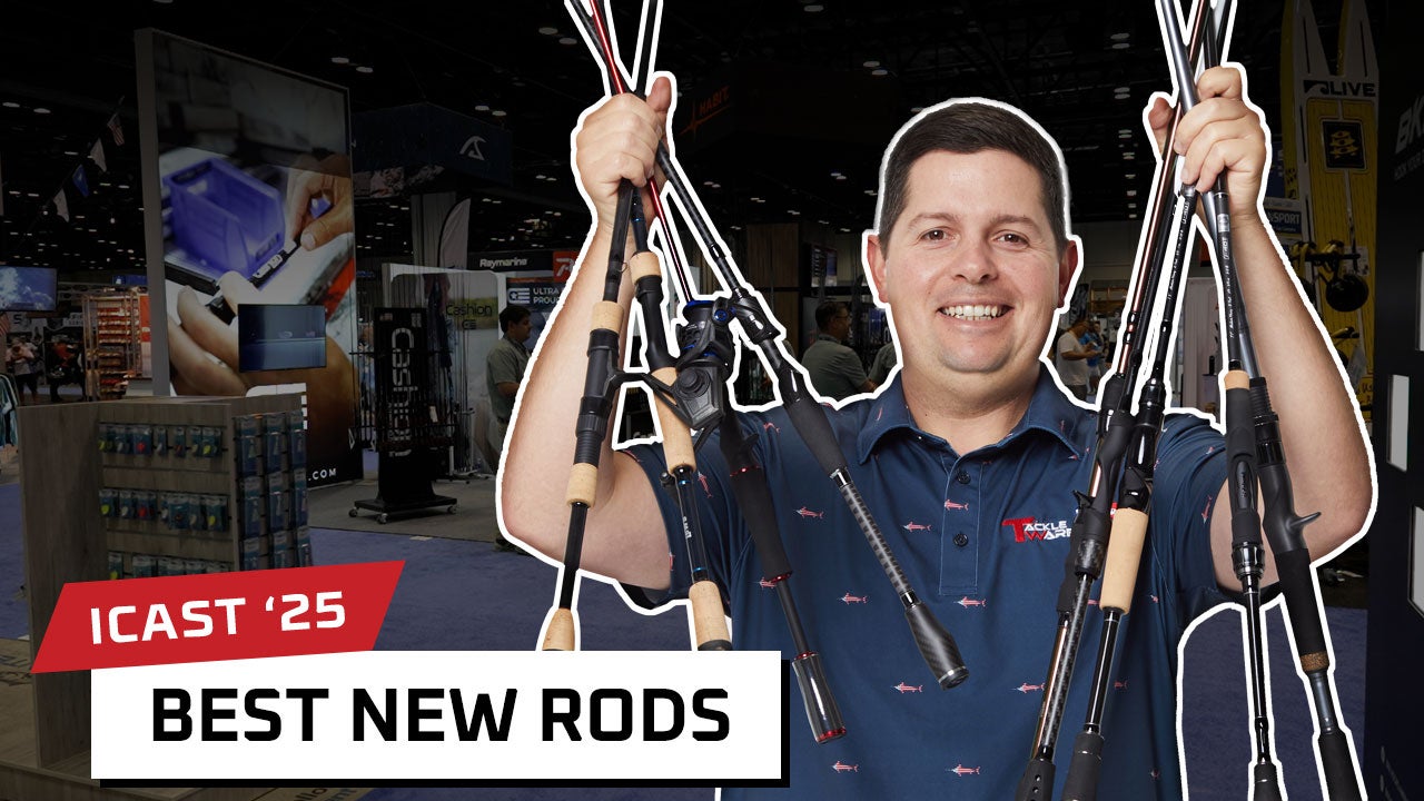 Best New Rods 