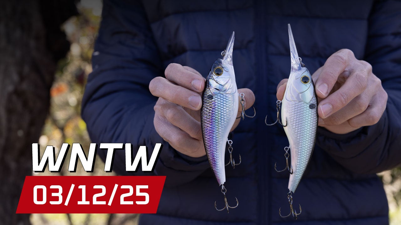 What's New at Tackle Warehouse 3/12/25