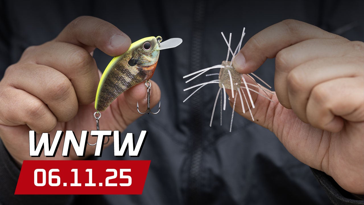 What's New at Tackle Warehouse 6/11/25