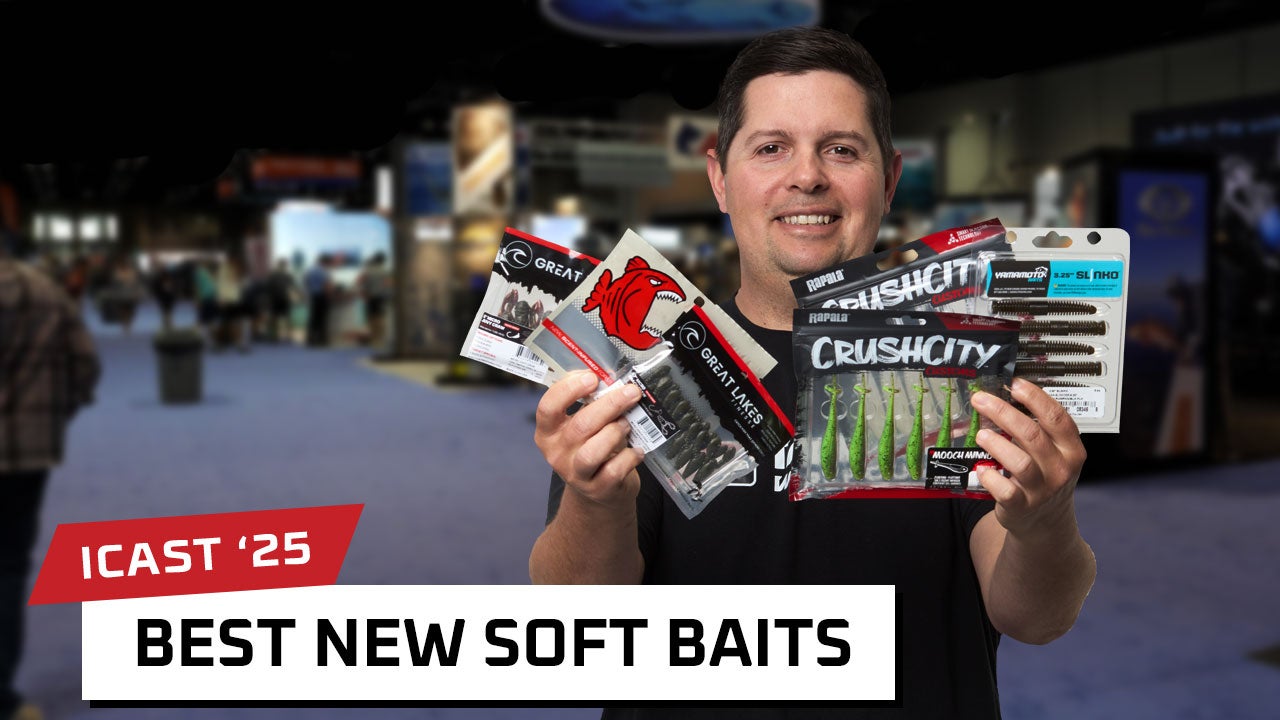 Best New Soft Bait