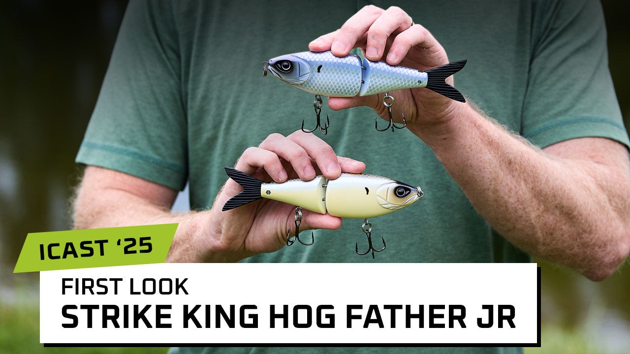 Strike King Hog Father Jr. Glide Bait 