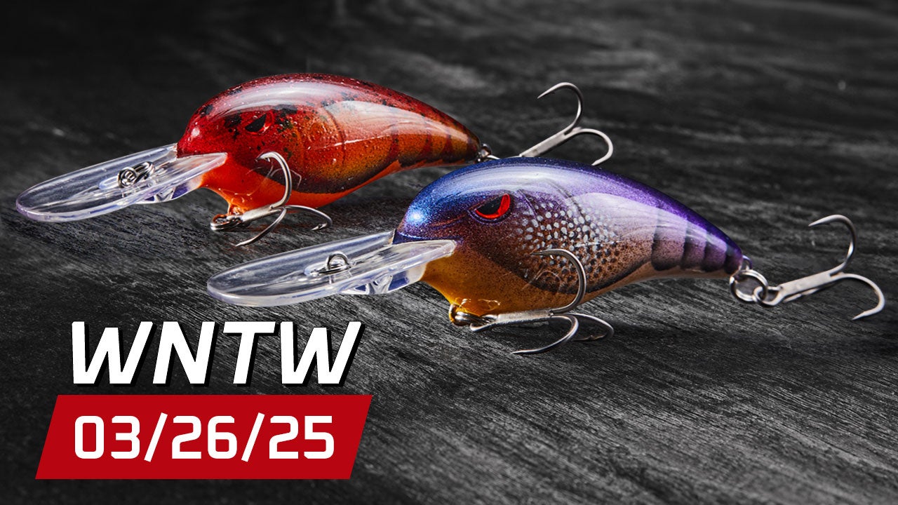 What's New at Tackle Warehouse 3/26/25