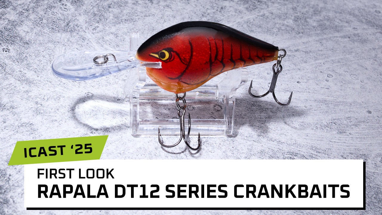 Rapala DT12 Series Crankbaits