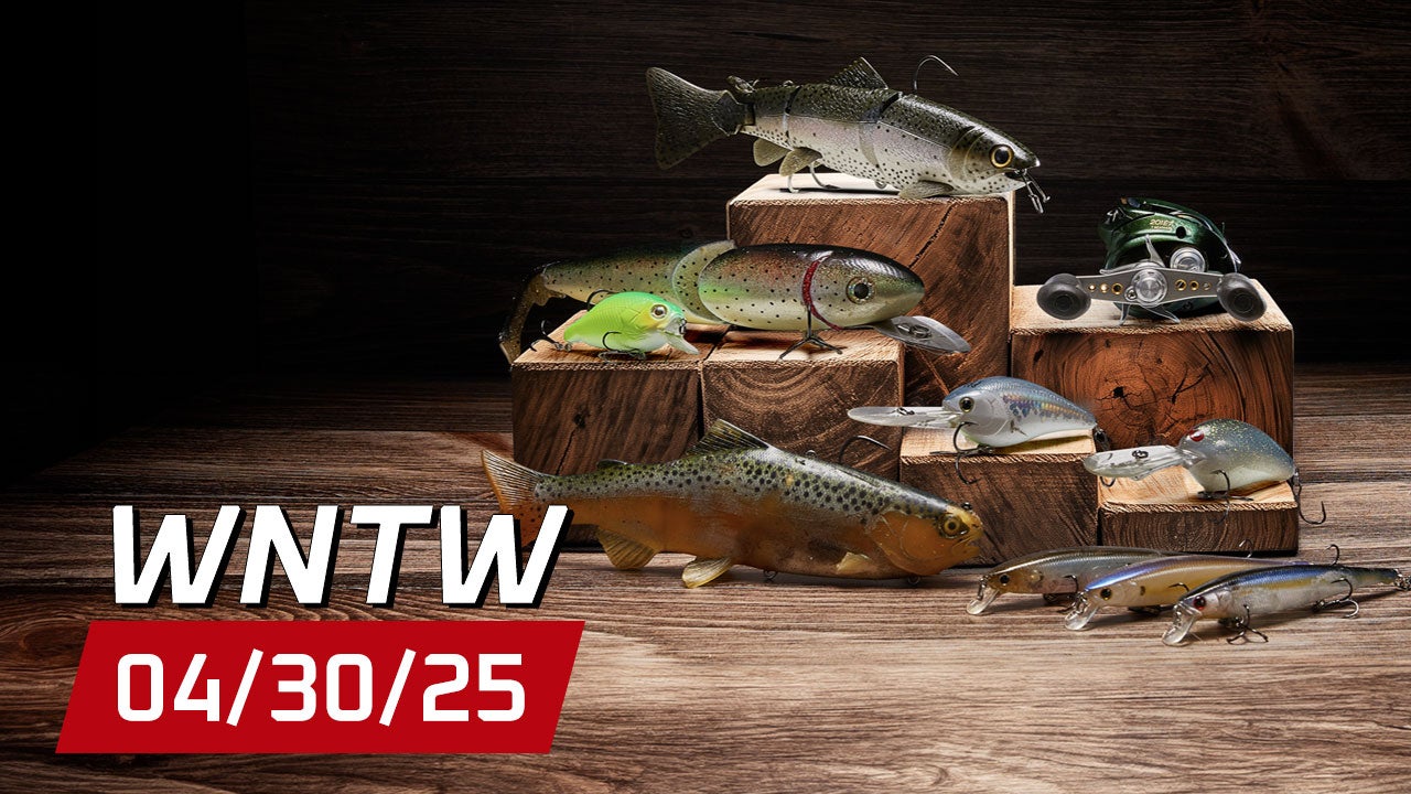 What's New at Tackle Warehouse 4/30/25
