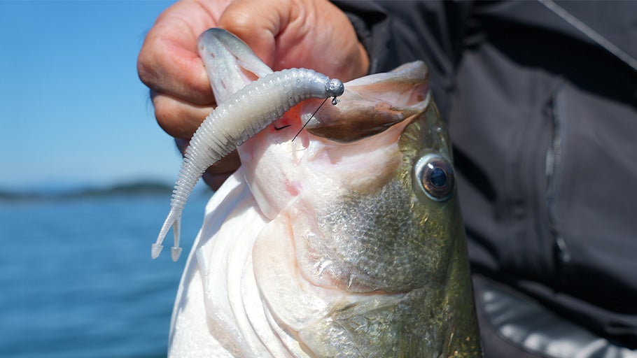 Hover and Mid Strolling Gear Guide